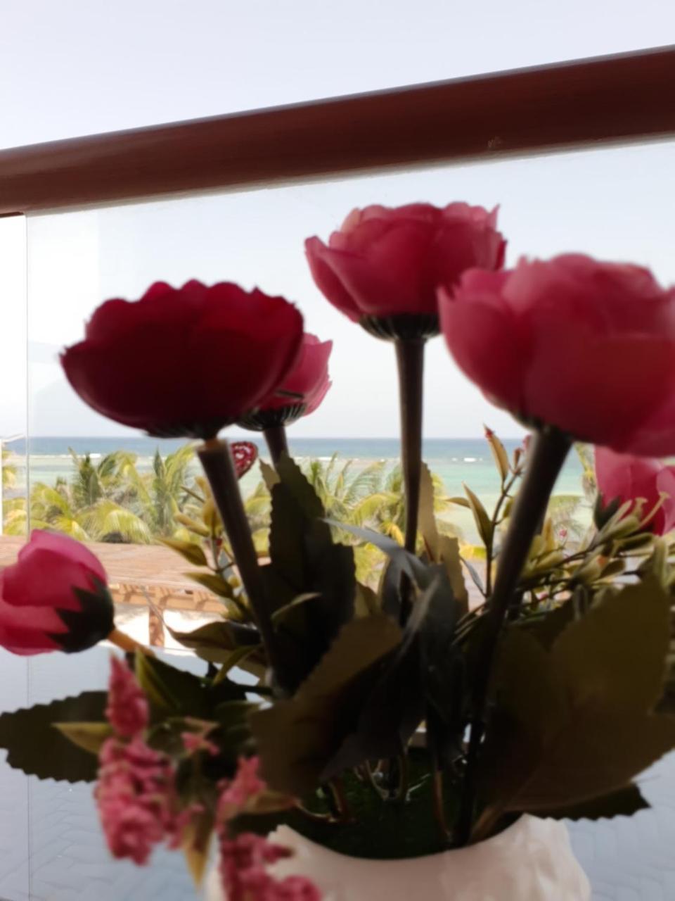 Aquastar By Rt Vacation Rentals Mahahual Εξωτερικό φωτογραφία